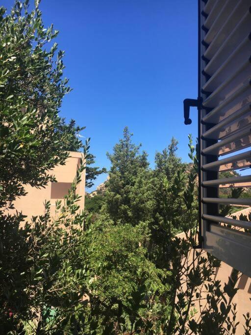 Apartamento Casa Terrazzo B1.16, Costa Paradiso, Gallura *